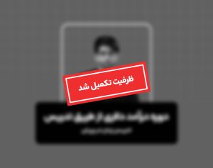 دوره درآمد دلاری با تدریس در پرپلی